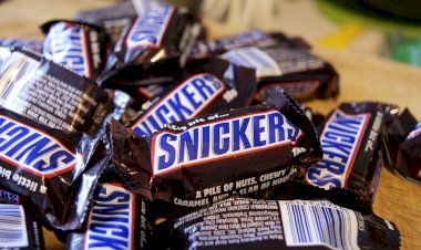 Как переводятся названия брендов?