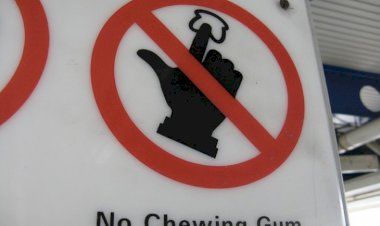 Странные законы в разных странах