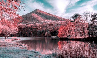 Как видят мир дальтоники