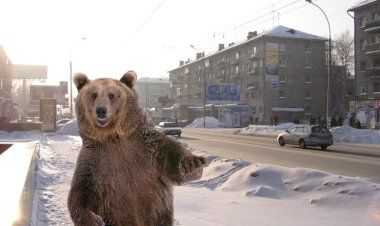 Interesting facts about Russia