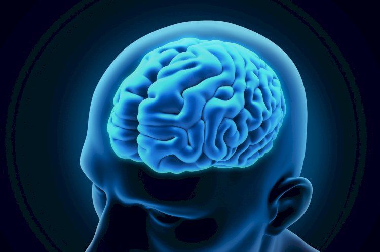 В мозгу нет болевых рецепторов: 10 удивительных фактов о нашем сером веществе