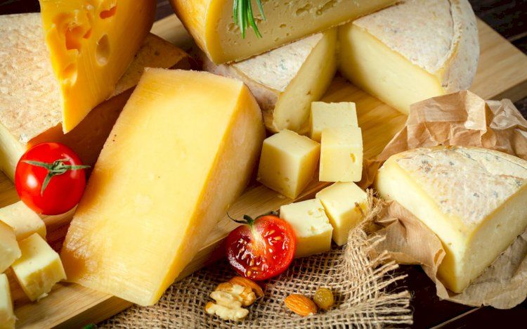 Several interesting facts about cheese