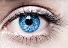 7 фактов о человеческом глазе