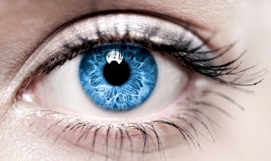 7 фактов о человеческом глазе