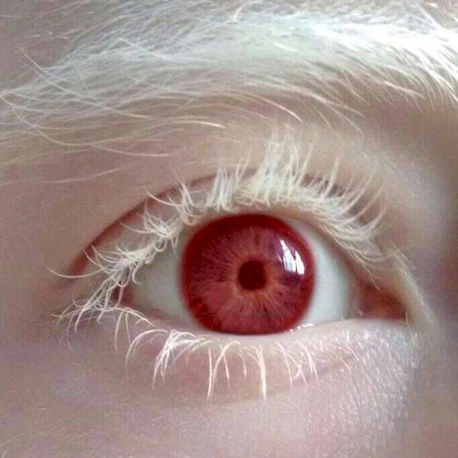7 facts about the human eye - IfBest