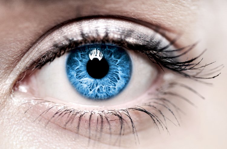 7 facts about the human eye