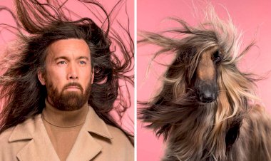 Почему животные похожи на хозяев?