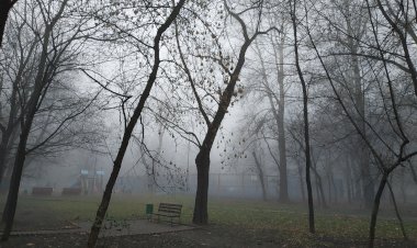Радиационный туман в Москве: какова причина этого явления?
