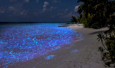 Самые необычные туристические места на планете