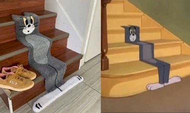 Гениальные дизайнерские решения (15+ фото)