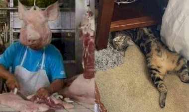 10 фотографий из серии "показалось"