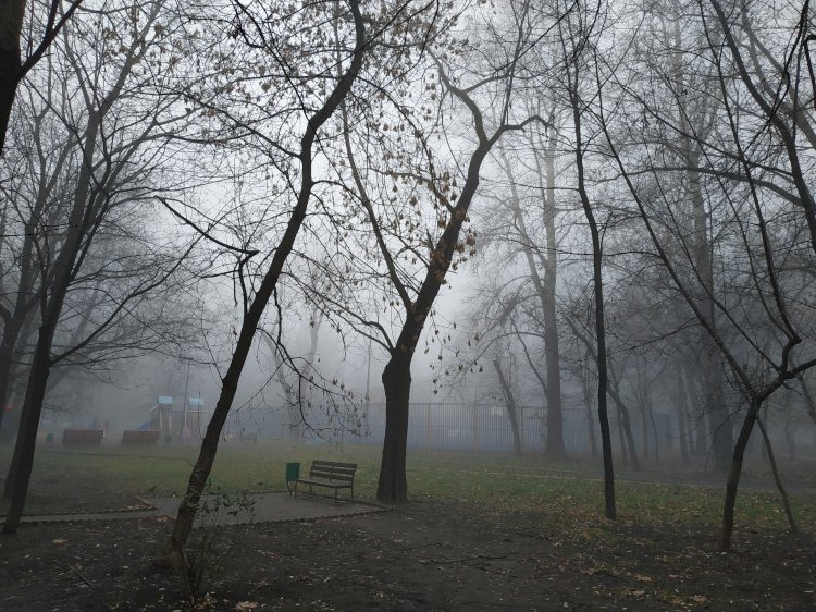 Радиационный туман в Москве: какова причина этого явления?