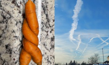 11 фото, которые вызывают удивление