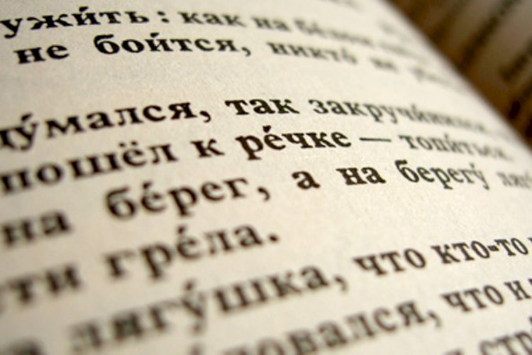Тест: хорошо ли вы знаете русский язык?