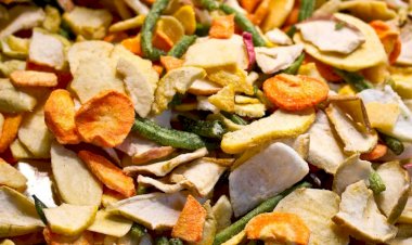 Как выбрать сушилку для овощей?