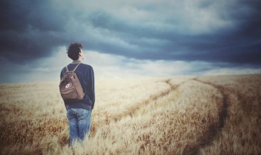 Высшая ценность...