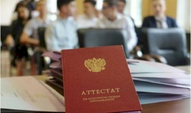 Важны ли оценки в школе?