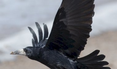 Неписанные и писанные правила в обществе