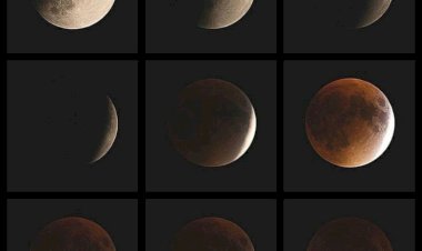 Как бороться с эмоциональным выгоранием?