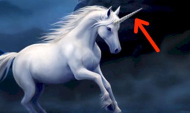 Есть ли рог единорога в аптеке?