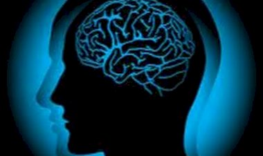 Рассуждения о повседневной жизни.