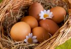 Зачем мыть яйца?