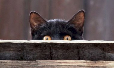 Приметы и их значения, о которых многие не знают!