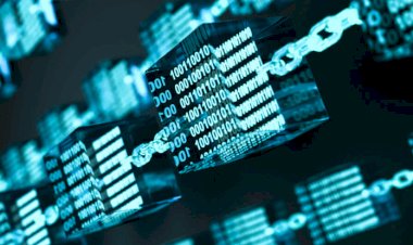 3 курса TONcoin