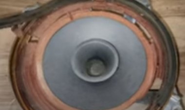 Сгнил подвес динамика Да, разве это проблема?? Ремонт 10гдш Своими Руками!