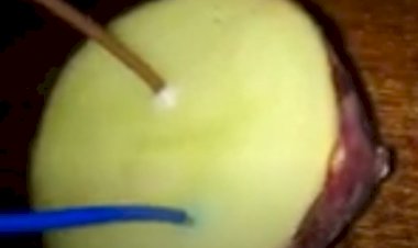Определяем полярность без приборов! Своими руками!