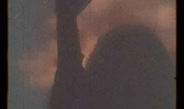 Что делать с не взаимной симпатией.