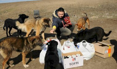 Люди важны - животные нет.. это мебель исскуственная?