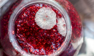 Срок годности варенья по нормативам и на практике