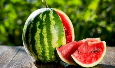 Польза и вред арбузов