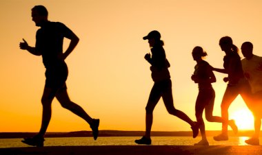 Ассортимент продукции спортивного питания для суставов