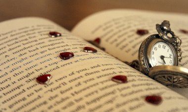 Цитаты, как смысл жизни...