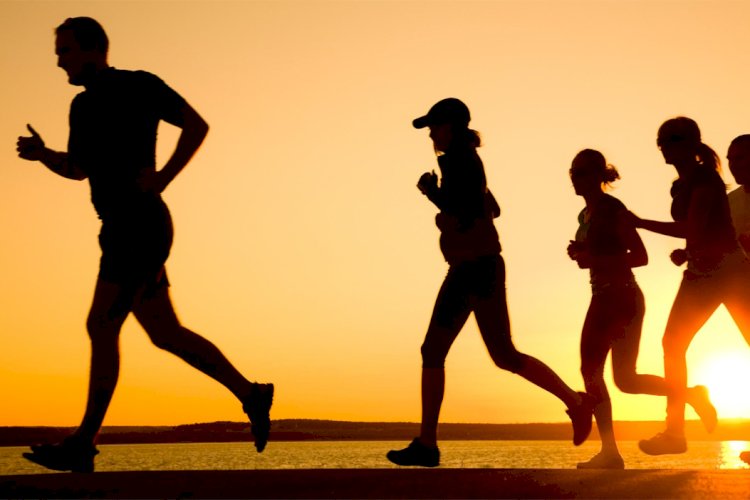 Ассортимент продукции спортивного питания для суставов