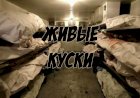 Живые куски