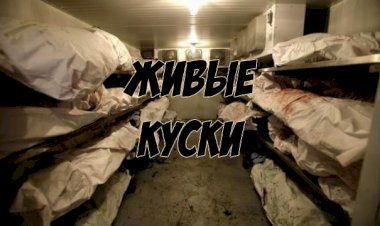 Живые куски