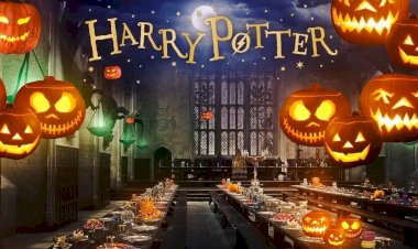 Почему Гарри Поттер ассоциируется с Хэллоуин? Как связан герой с загадочным праздником