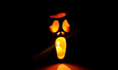 «Вот эта страхолюдина!»: как сделать лампу из тыквы на Хэллоуин 31 октября? Подробное описание + фото