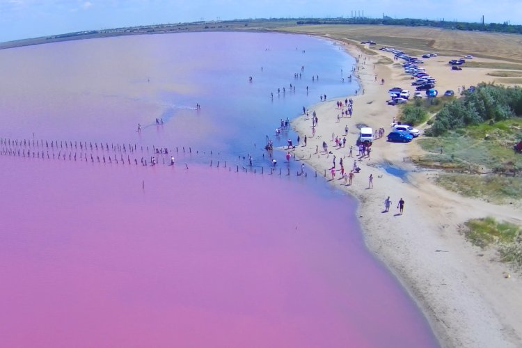 Розовое озеро Сасык-Сиваш в Крыму. Невероятно красиво оно выглядит с дрона