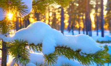 Чем можно заняться зимой. Топ  7 интересных занятий во время холодного времени года.