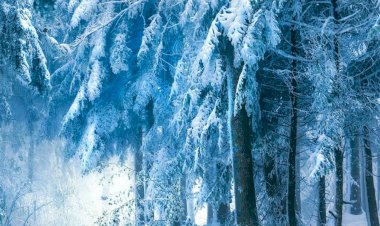 Любить страшно