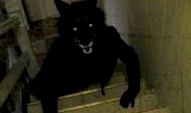 Криповые истории от пользователей Reddit