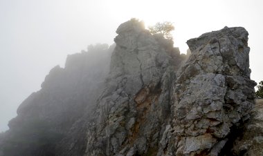 Зимний поход на гору Кошка в Крыму. Что мы увидели, свернув с тропы...