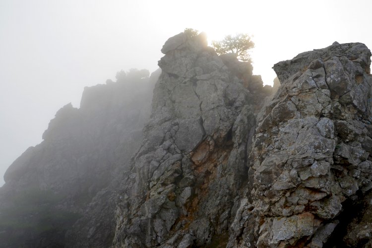 Зимний поход на гору Кошка в Крыму. Что мы увидели, свернув с тропы...