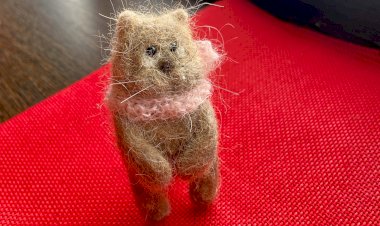 Эффективный способ стирки собачьей шерсти