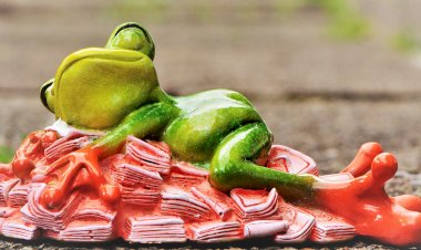 Сколько стоит настроение