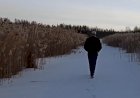 Вот такая весна ...